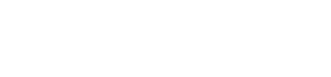 Flaura Finance